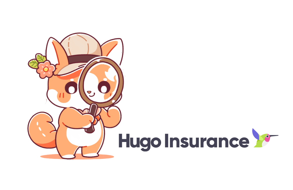 Is Hougo Insurance Right for You? A Full Review